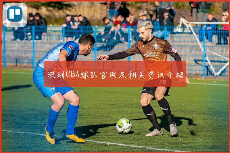 深圳CBA球队官网及相关资讯介绍