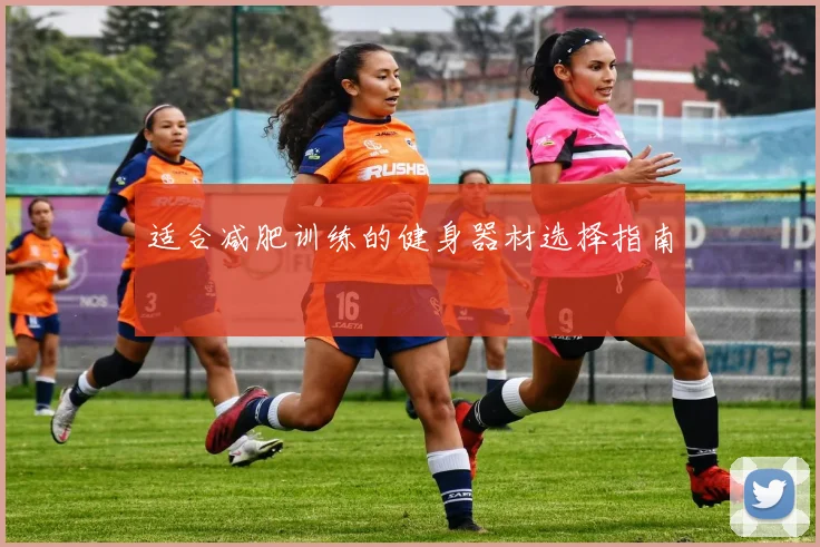 适合减肥训练的健身器材选择指南