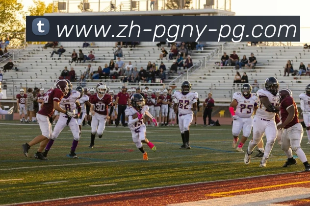 PG模拟器APP 高清赛事图